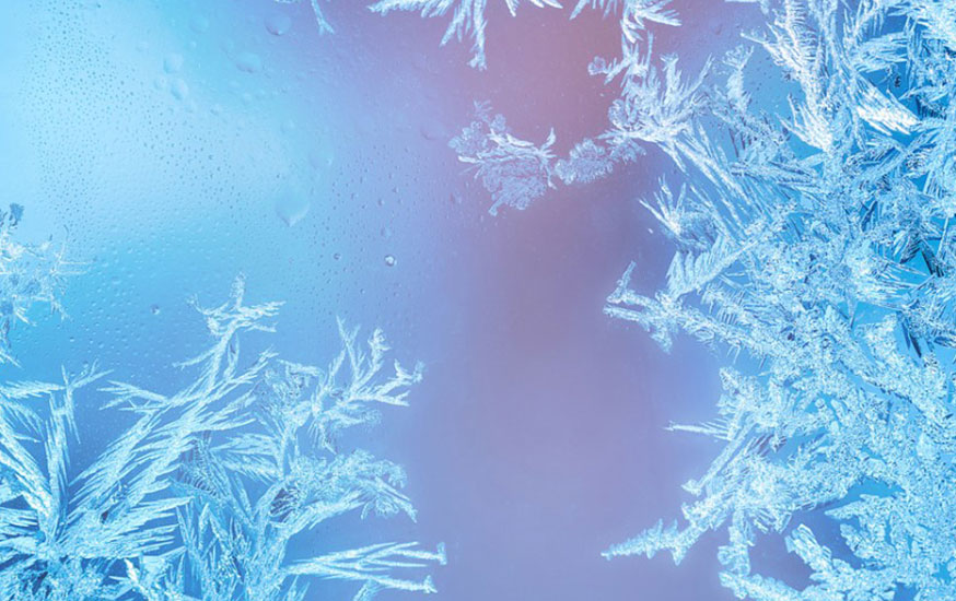 Foreign Inspection Program Feels the Freeze Image